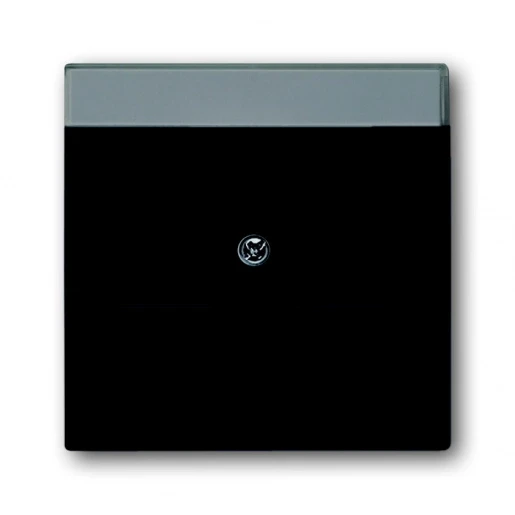 [4011395127346] BJ Future 1800-885 Inzetplaat zwart 885