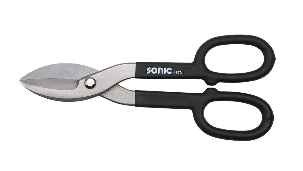 Sonic Blikschaar